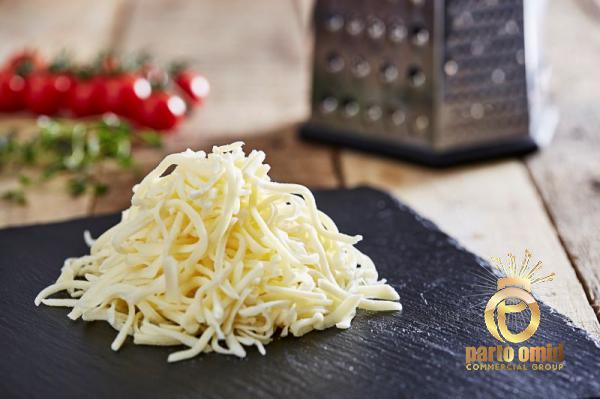 Is Salty Parmesan Cheese Vegetarian?