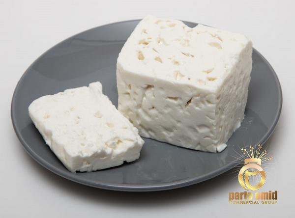 Importance of Eating High Protein Cheese