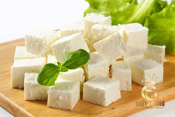 Buy Fresh Salty Cheese at the Best Price
