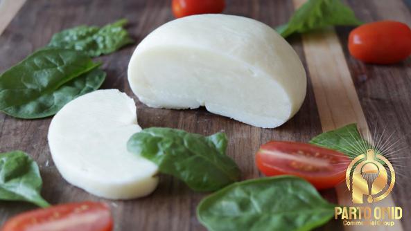 Amateur Supplier of Bulk Priced Mozzarella Cheese in the Middle East