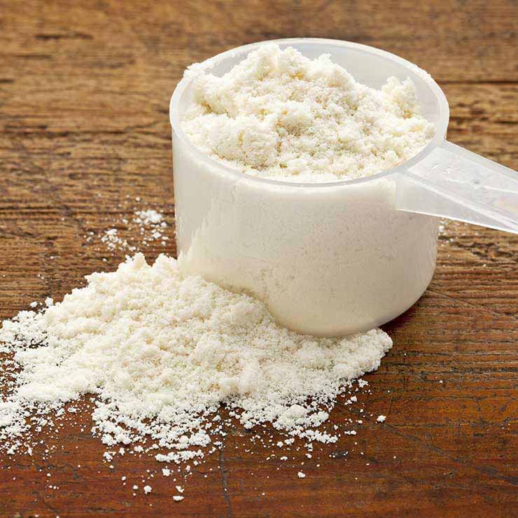 Suppliers manufacturers whey powder protein UK