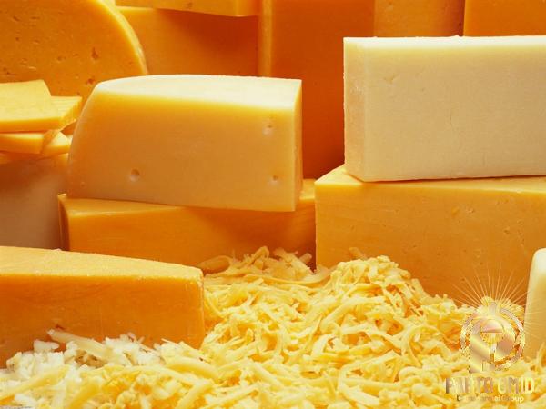 Purchase and today price of cheese powder Australia