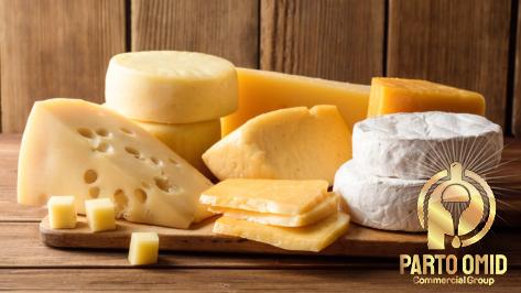 best vegan cheddar cheese australia | Reasonable price, great purchase