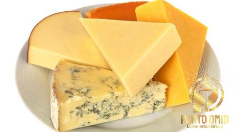 Price and buy best semi soft italian cheeses + cheap sale