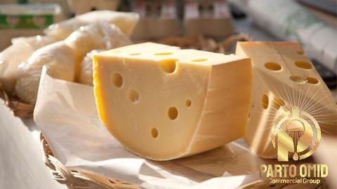 The price and purchase french semi soft cheeses